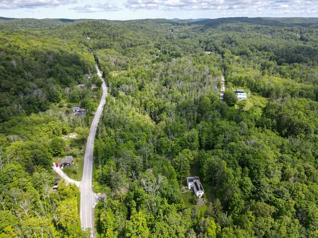 a view of a forest with a street