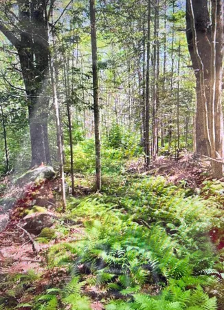 $99,000 | 6 Stonewyck Lane, Damariscotta, ME 04543