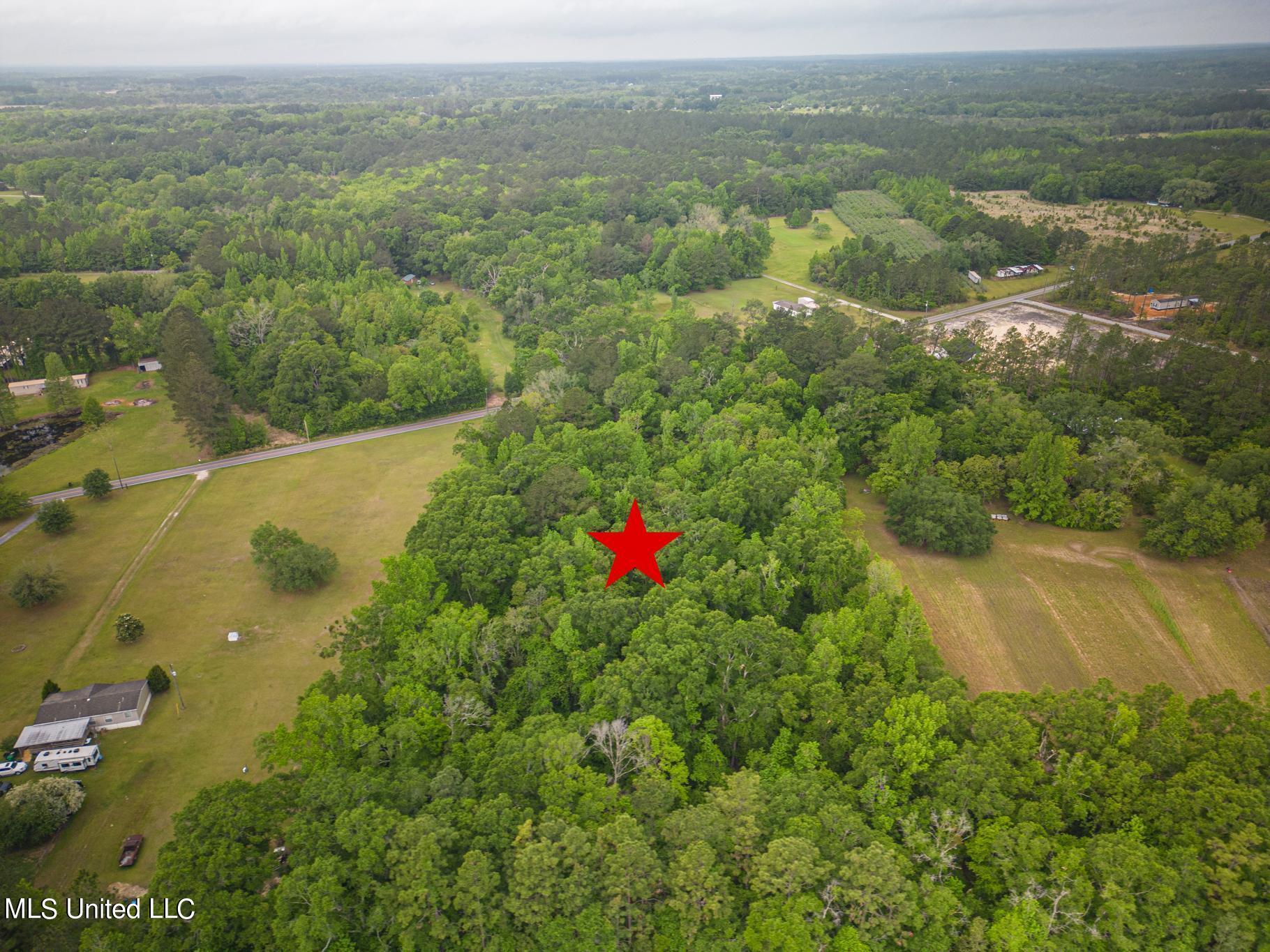 0 Billy Hinton Road Lucedale, MS 39452 - Photo 1 of 11 5 Acres at Billy Hinton