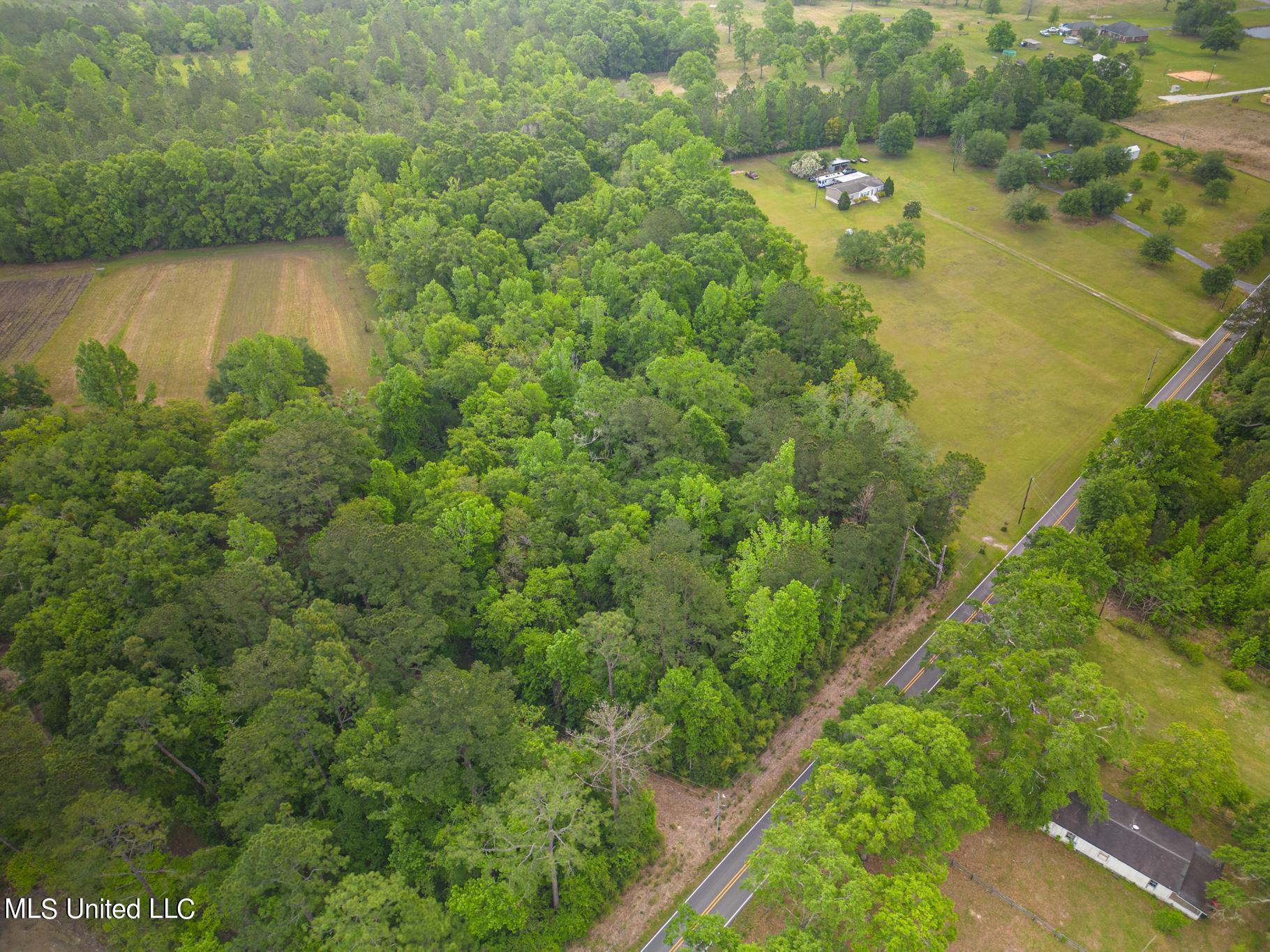 0 Billy Hinton Road Lucedale, MS 39452 - Photo 4 of 11 Billy Hinton-410002