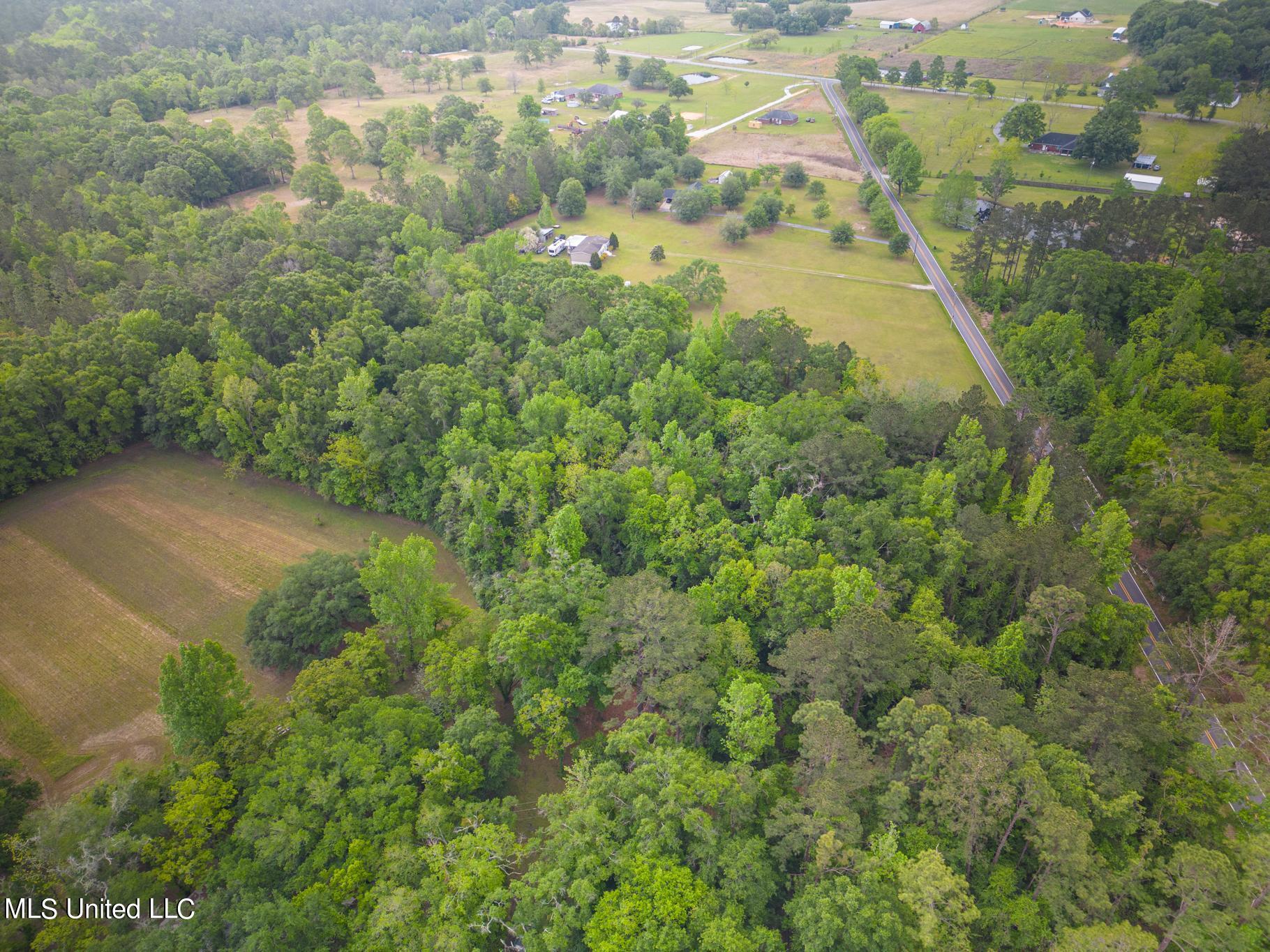 0 Billy Hinton Road Lucedale, MS 39452 - Photo 5 of 11 Billy Hinton-410003