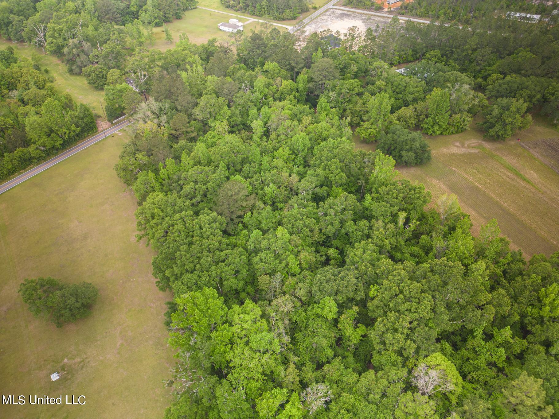 0 Billy Hinton Road Lucedale, MS 39452 - Photo 9 of 11 Billy Hinton-410007