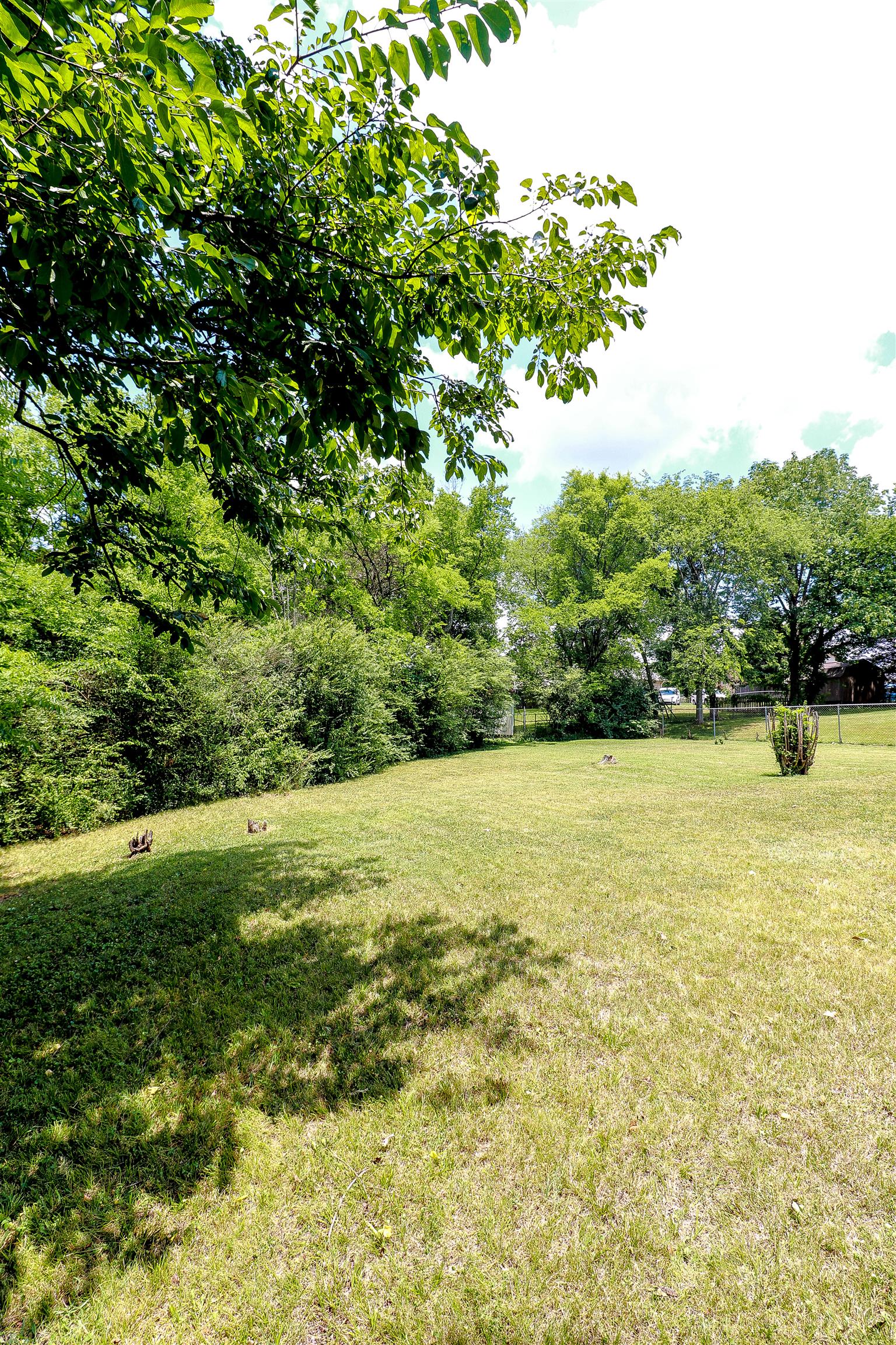 3016 Anderson Road Nashville, TN 37217 - Photo 5 of 25 a view of an ocean from a yard