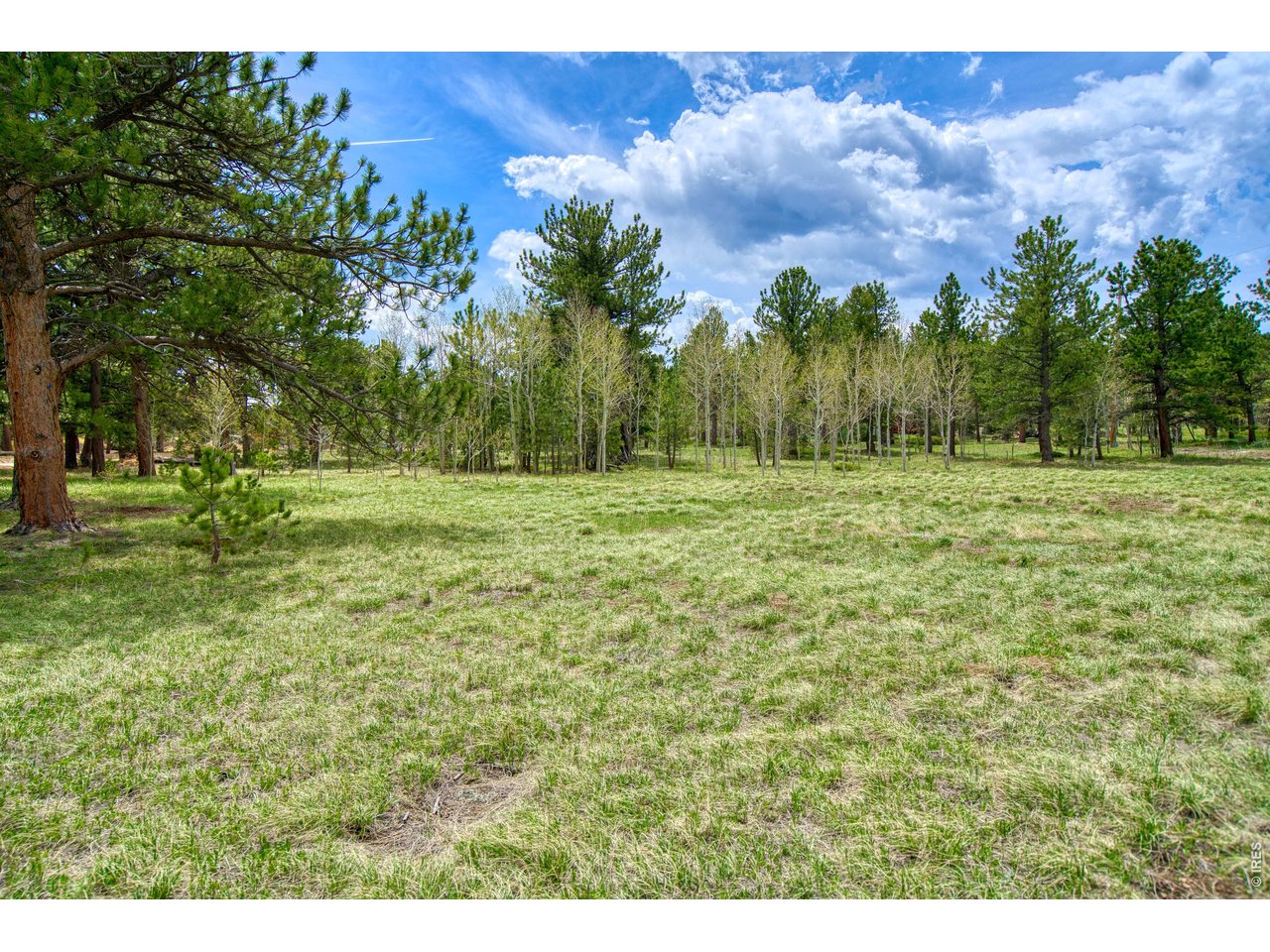 73 Sparn Way Ward, CO 80481 - Photo 3 of 11
