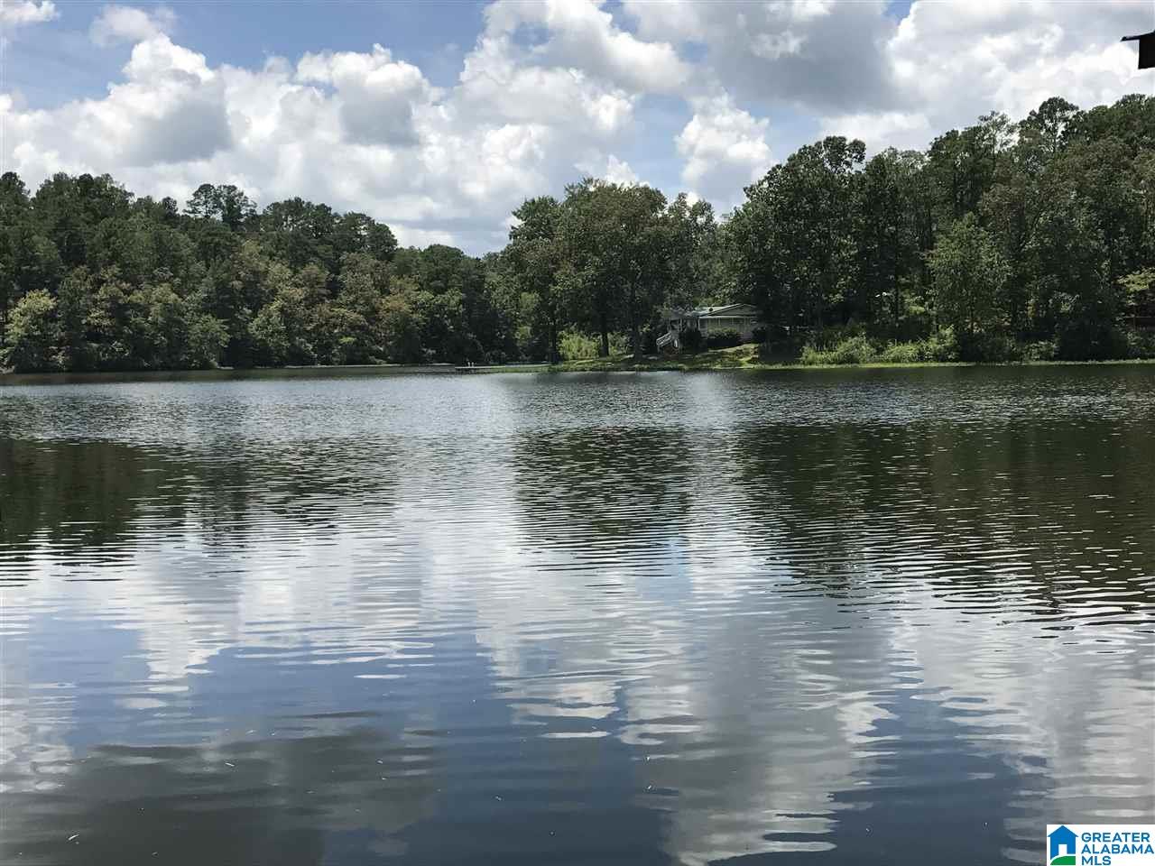 140 County Road 196 Clanton, AL 35046 - Photo 1 of 28