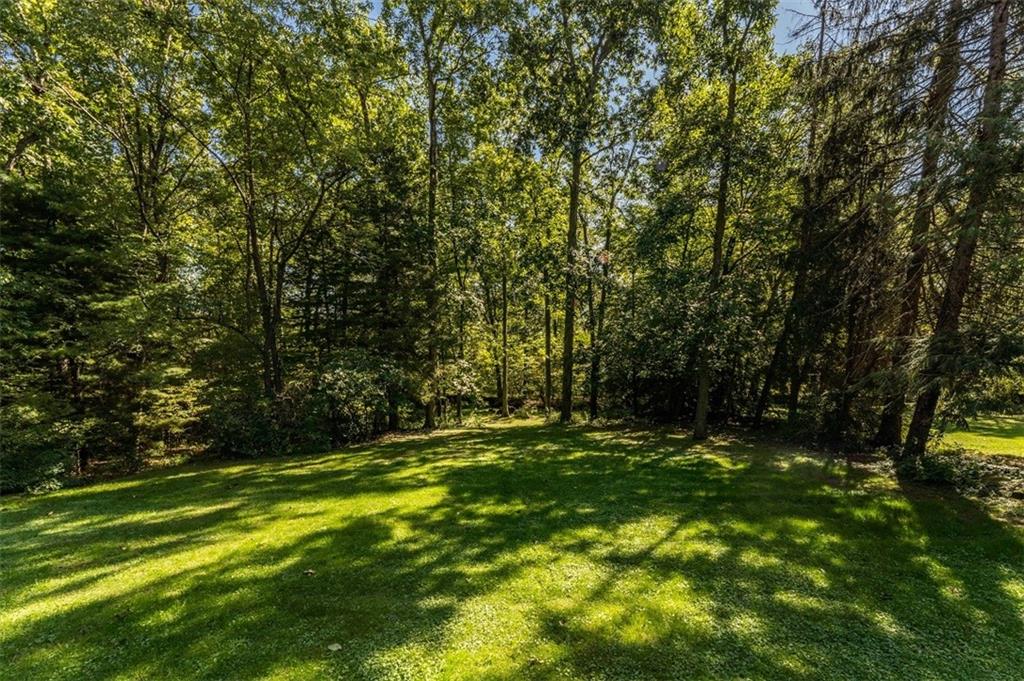 793 Rustic Lodge Road Indiana, PA 15701 - Photo 18 of 22 a big yard with lots of green space and trees