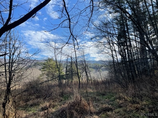 7305 Big Back Creek Road Warm Springs, VA 24484 - Photo 6 of 13 a backyard of a house with lots of green space