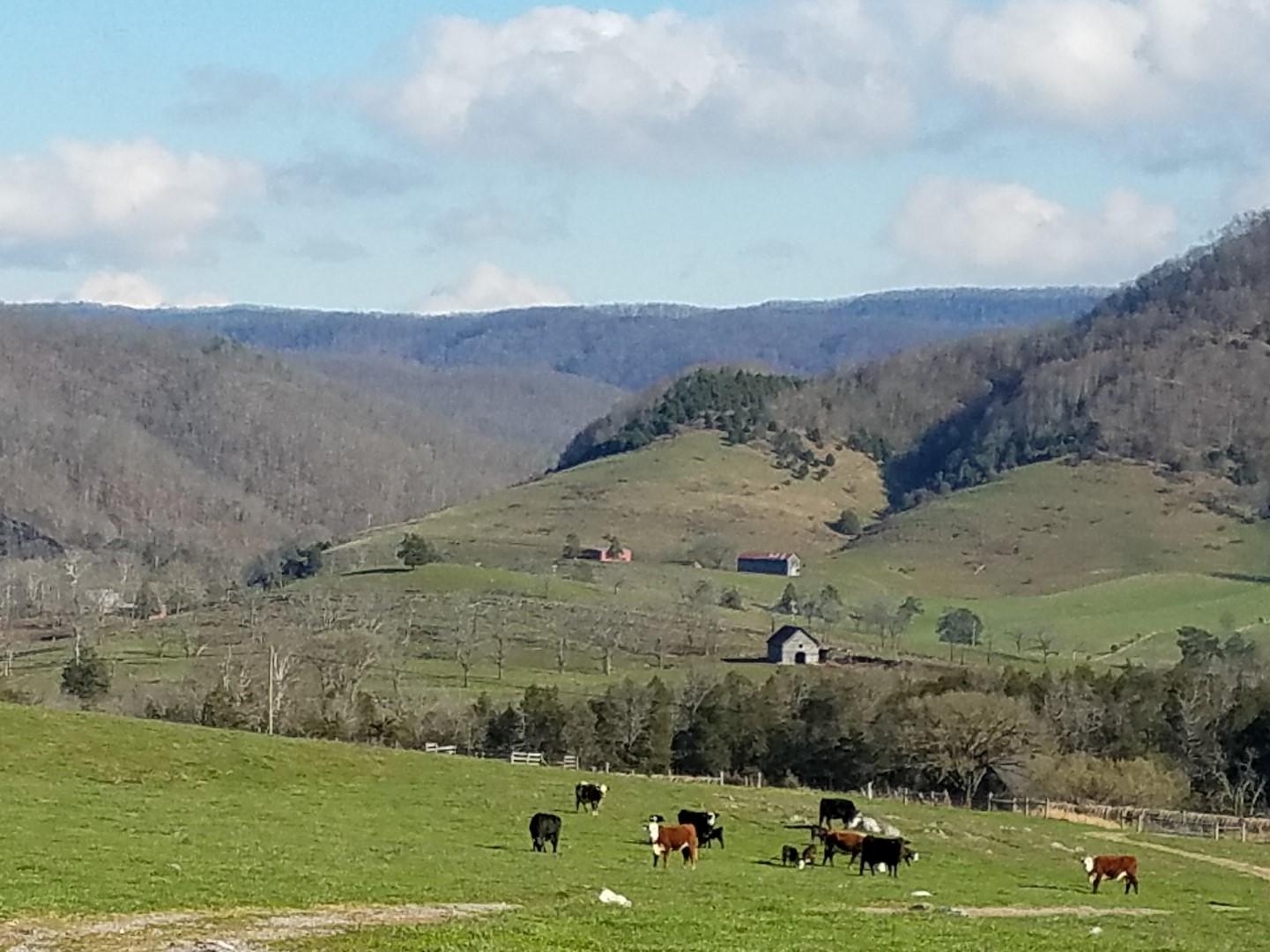 Tbd Tbd Rob Camp Road, Unit 178 ACR Tazewell, TN 37879 - Photo 1 of 39 Primary (Large)