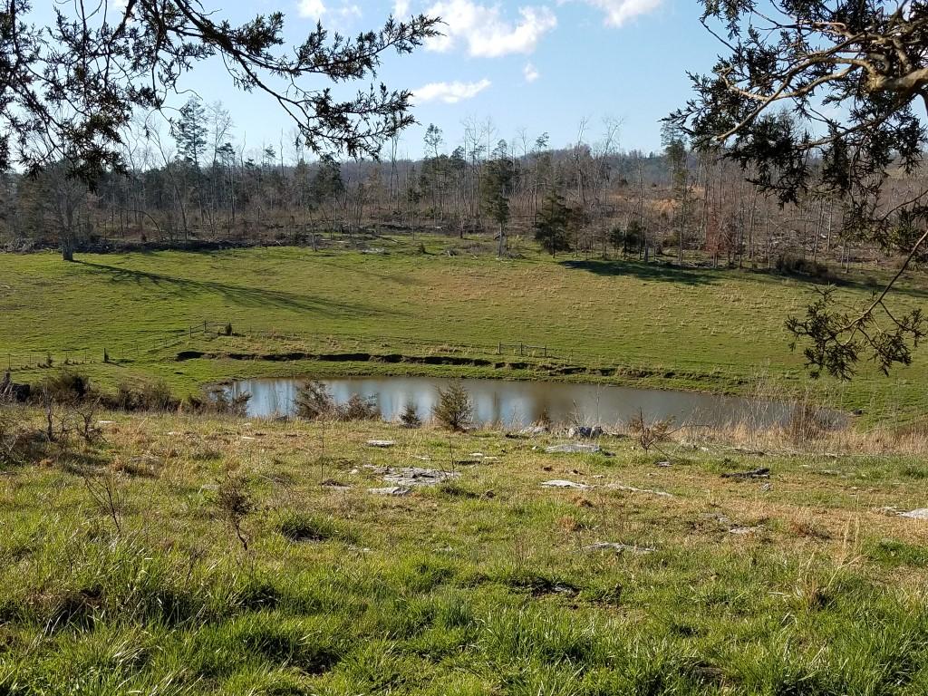 Tbd Tbd Rob Camp Road, Unit 178 ACR Tazewell, TN 37879 - Photo 18 of 39 20180306_161411 (Medium)