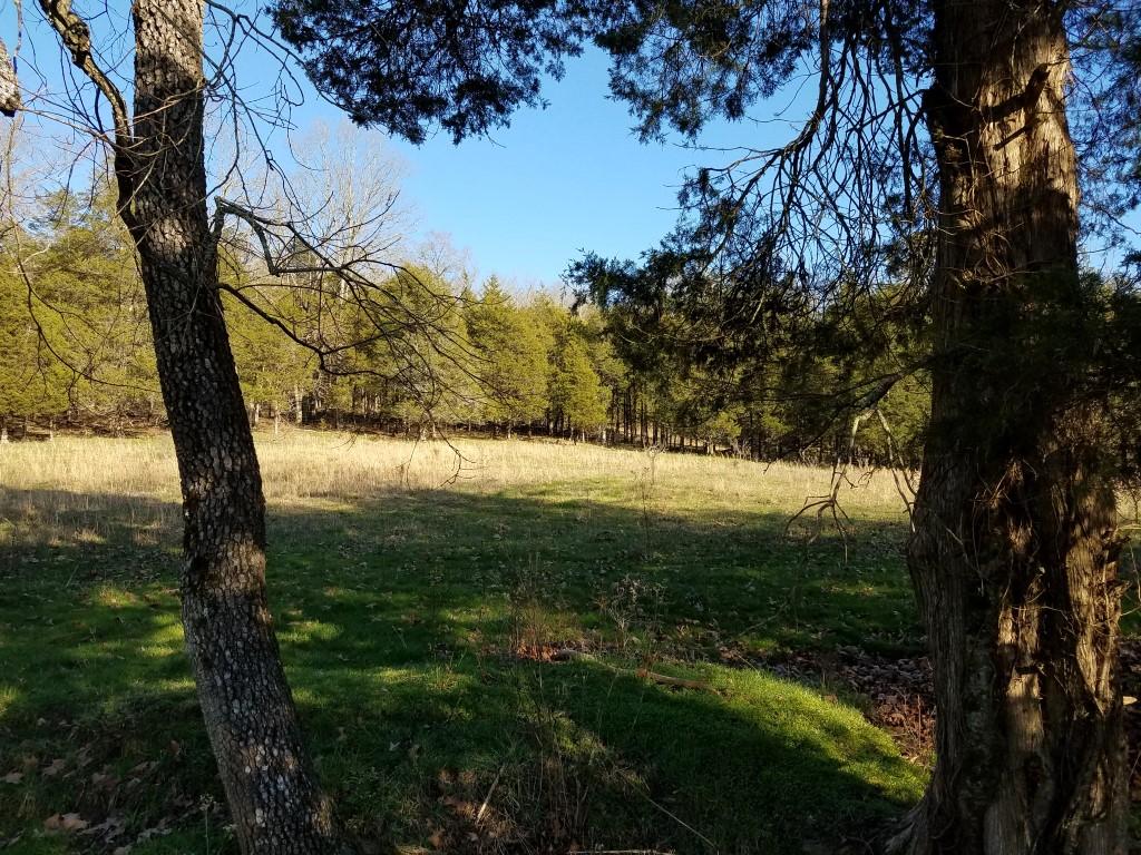 Tbd Tbd Rob Camp Road, Unit 178 ACR Tazewell, TN 37879 - Photo 19 of 39 20180306_163947 (Medium)