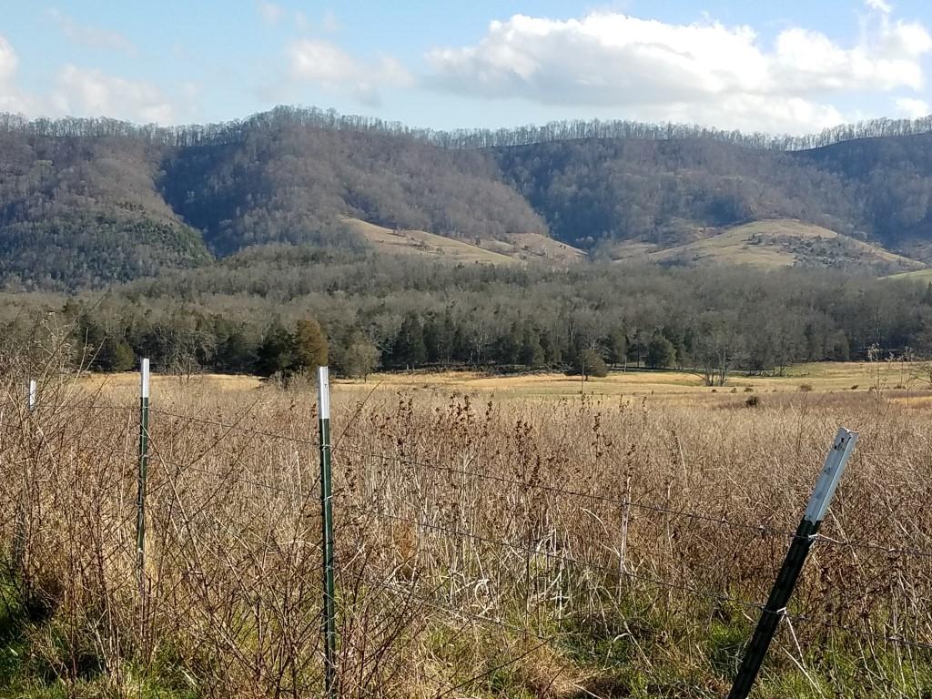 Tbd Tbd Rob Camp Road, Unit 178 ACR Tazewell, TN 37879 - Photo 3 of 39 20180306_160548 (Medium)