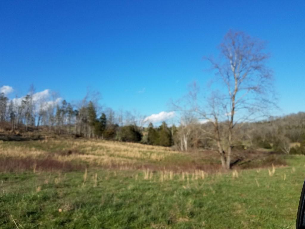 Tbd Tbd Rob Camp Road, Unit 178 ACR Tazewell, TN 37879 - Photo 23 of 39 20180306_162943 (Medium)