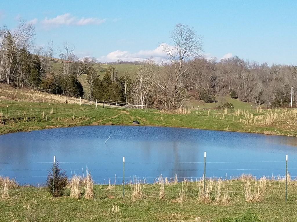 Tbd Tbd Rob Camp Road, Unit 178 ACR Tazewell, TN 37879 - Photo 10 of 39 20180306_162001 (Medium)