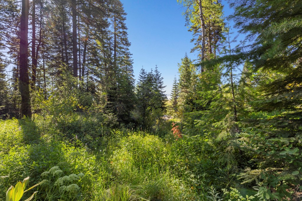 2 Arling Trail, Unit 5A45 Cascade, ID 83611 - Photo 3 of 15 Potential Build Site