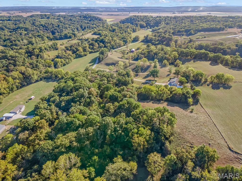 7315 Roscow Hollow Road Prairie du Rocher, IL 62277 - Photo 40 of 40