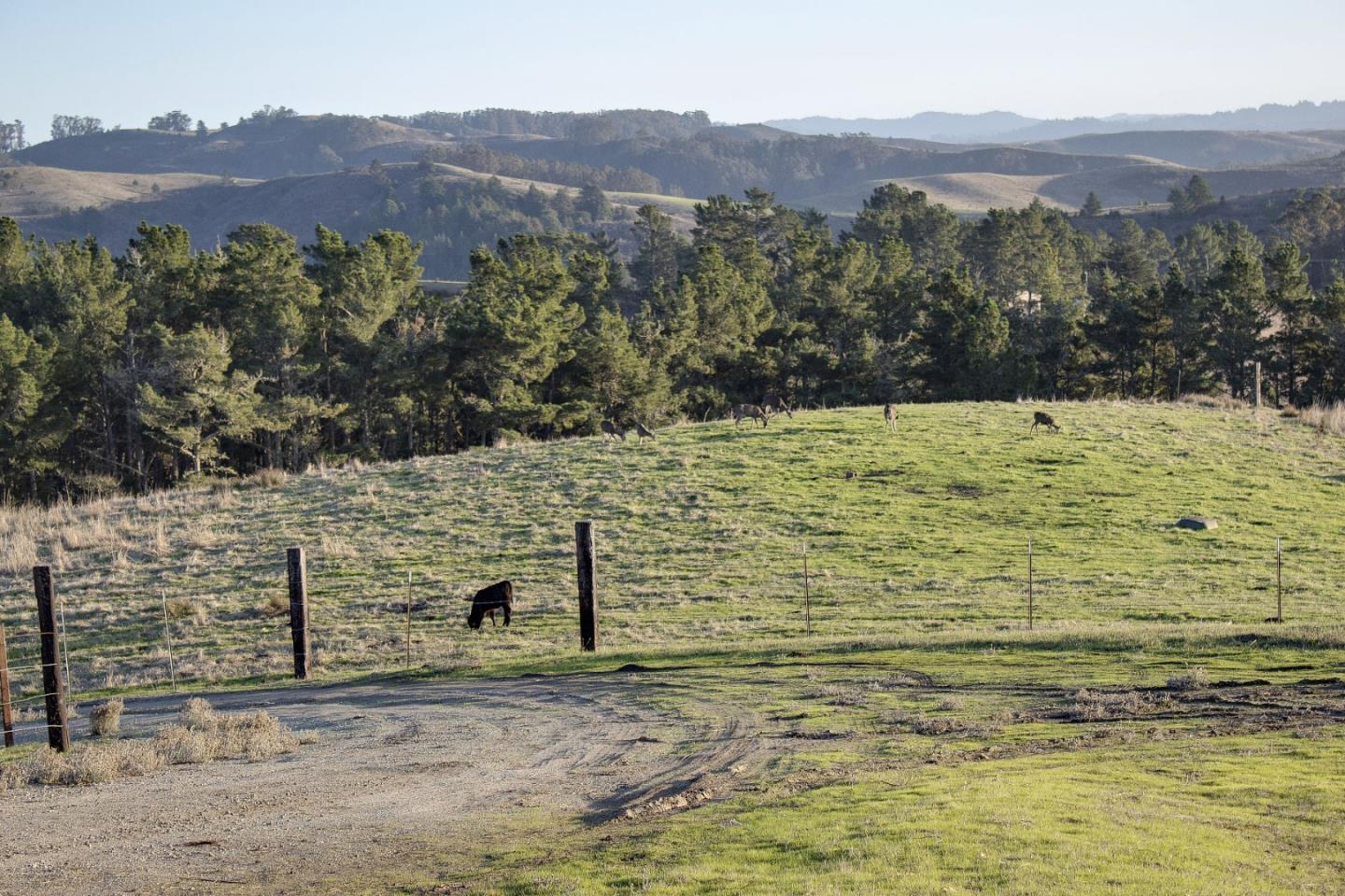 400 Irish Ridge Road Half Moon Bay, CA 94019 - Photo 8 of 40
