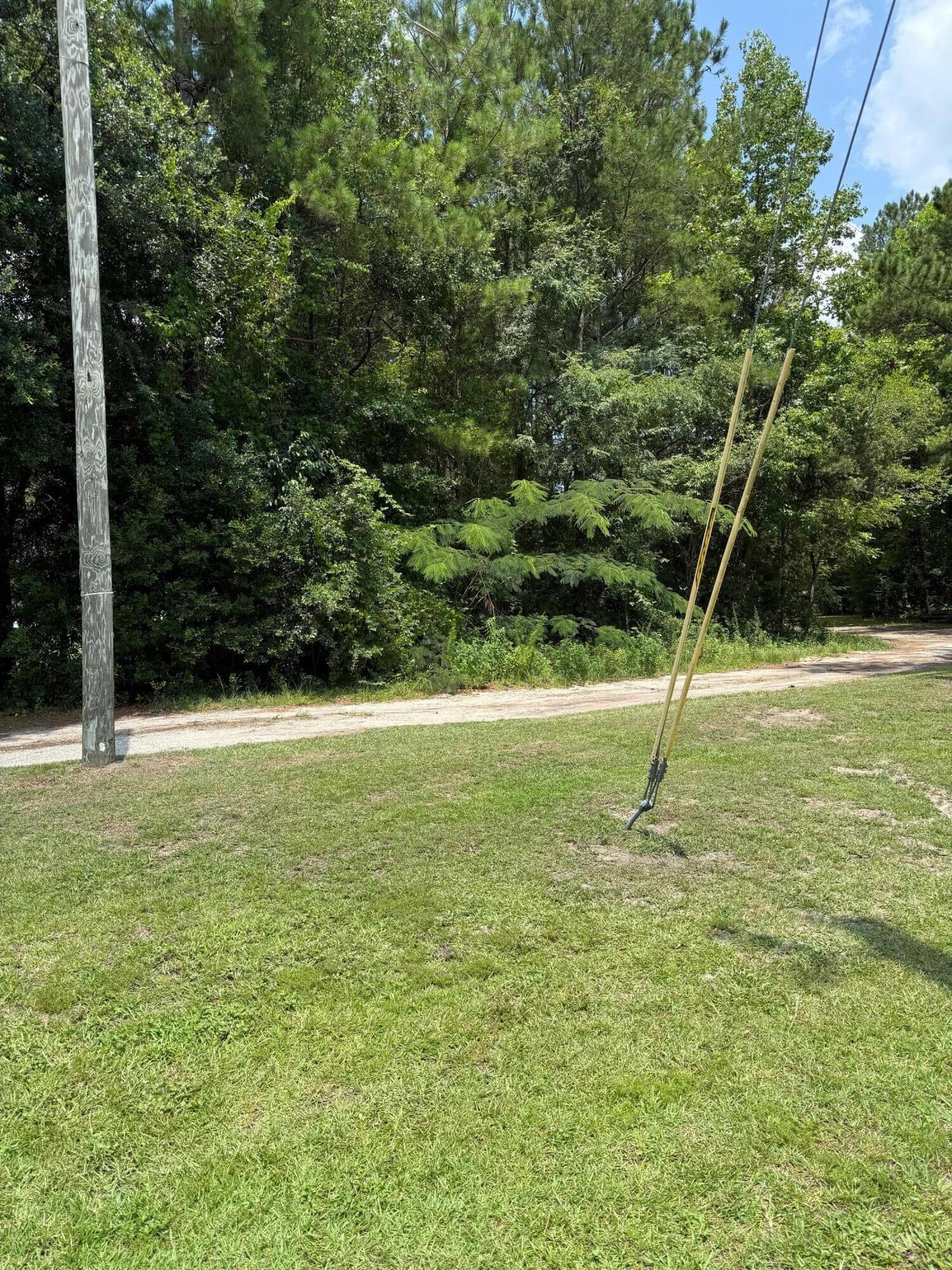 0 Mudville Road Cross, SC 29436 - Photo 2 of 3 IMG_6980 (1)