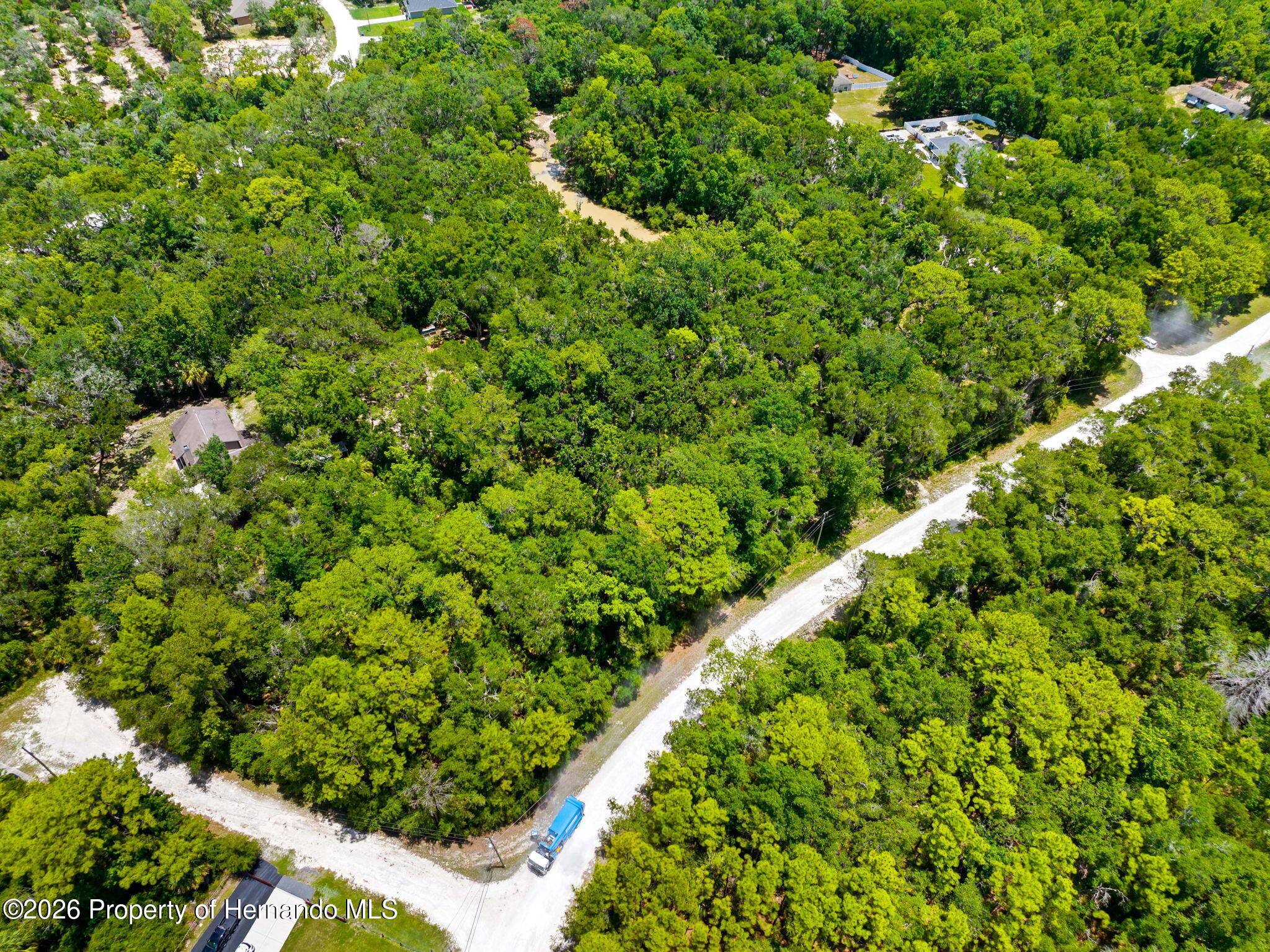 0 Ricebird Avenue Weeki Wachee, FL 34614 - Photo 9 of 26
