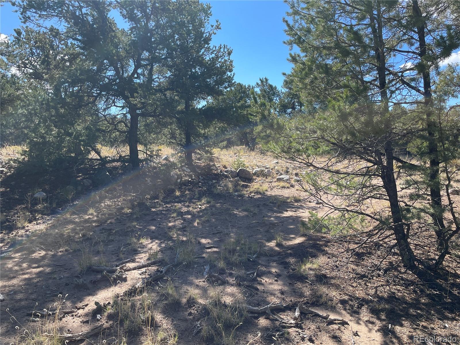 3545 Fallen Tree Place Crestone, CO 81131 - Photo 2 of 8