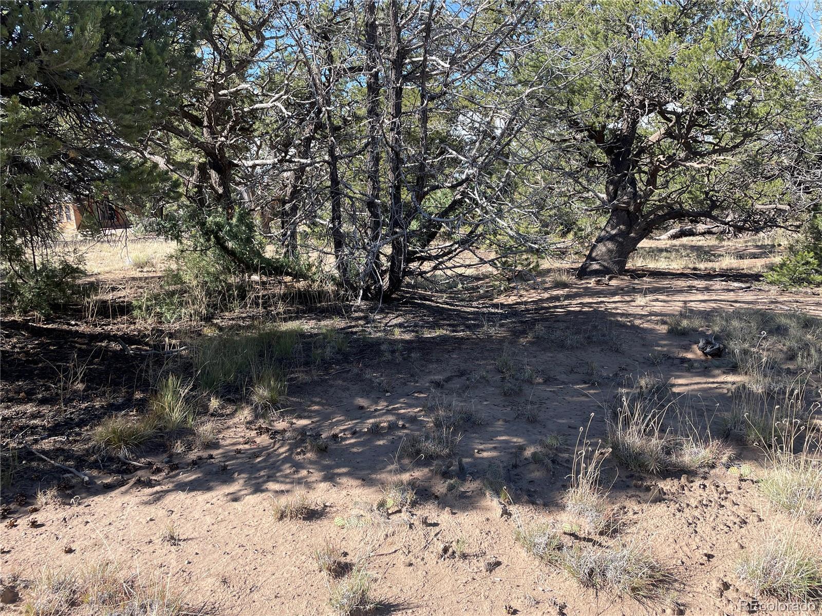 3545 Fallen Tree Place Crestone, CO 81131 - Photo 5 of 8 a view of water with a tree