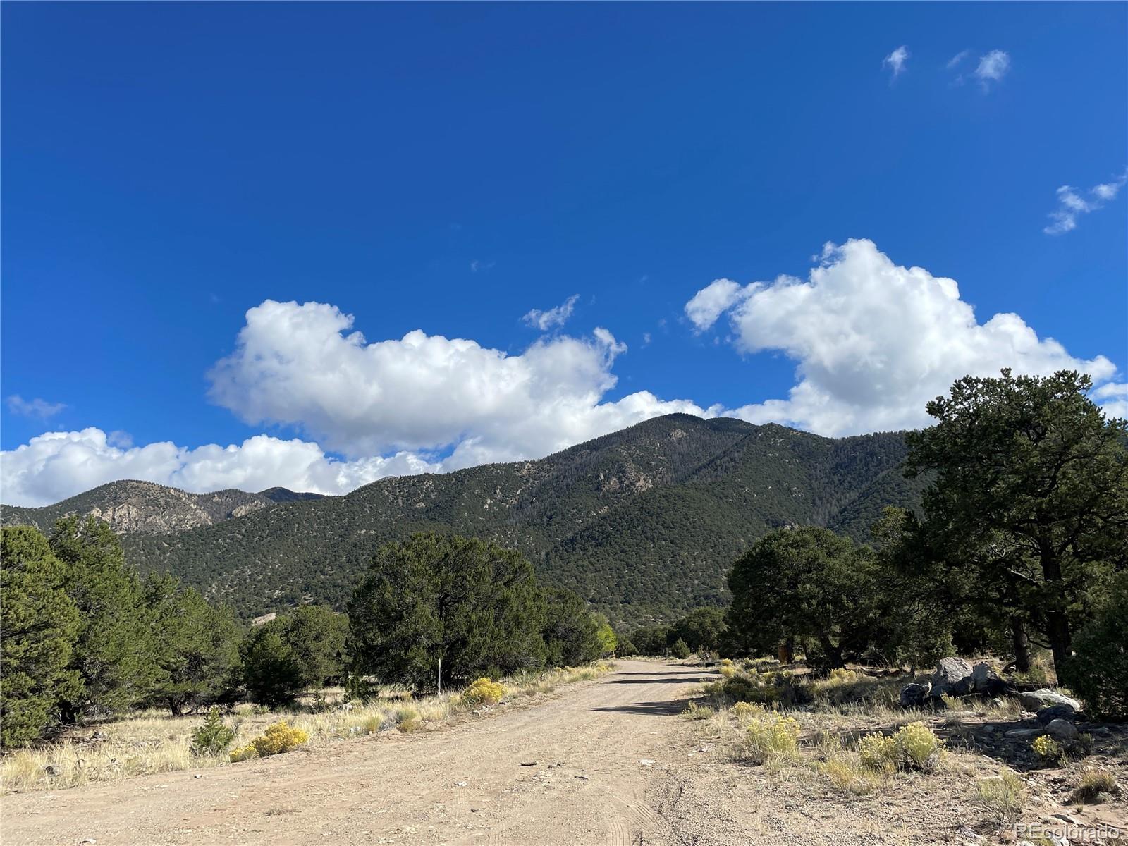 3545 Fallen Tree Place Crestone, CO 81131 - Photo 7 of 8 a view of a dry yard with a tree