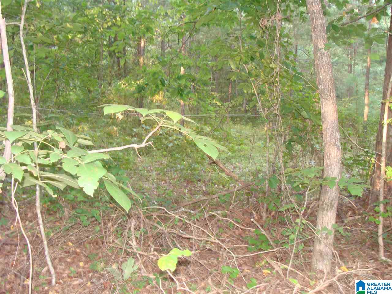 2873 Warrior Jasper Road, Unit ONE Warrior, AL 35180 - Photo 10 of 10