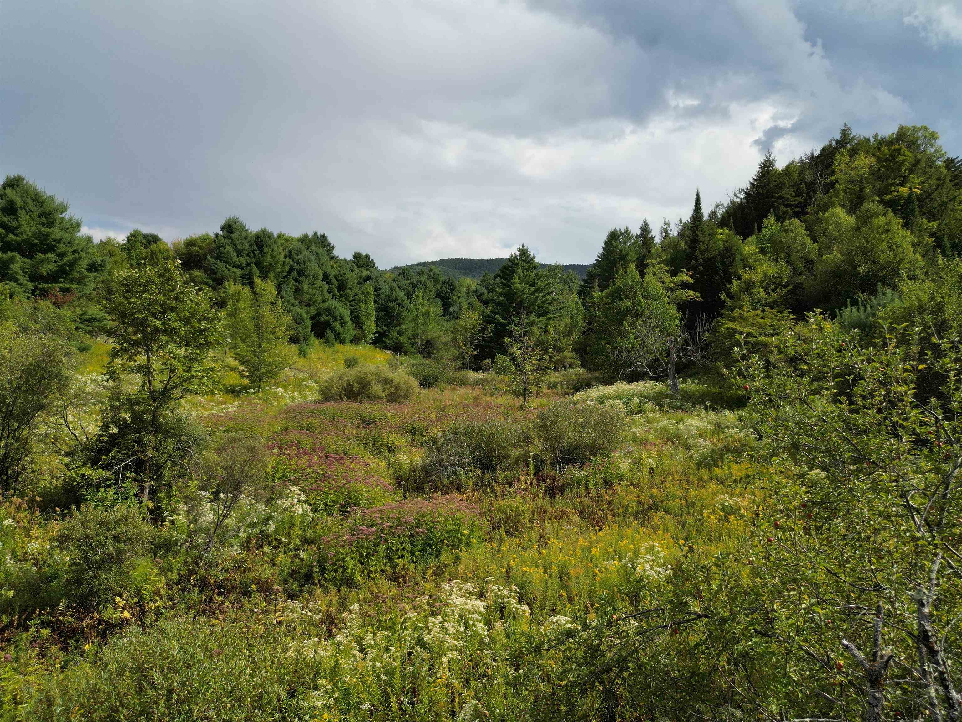 Lot 0 Darling Road Morristown, VT 05661 - Photo 6 of 10