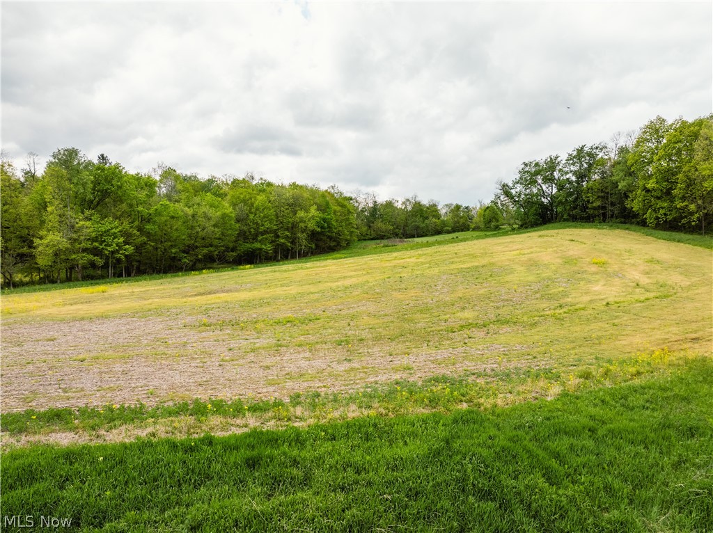 Garver Road Mansfield, OH 44903 - Photo 38 of 48