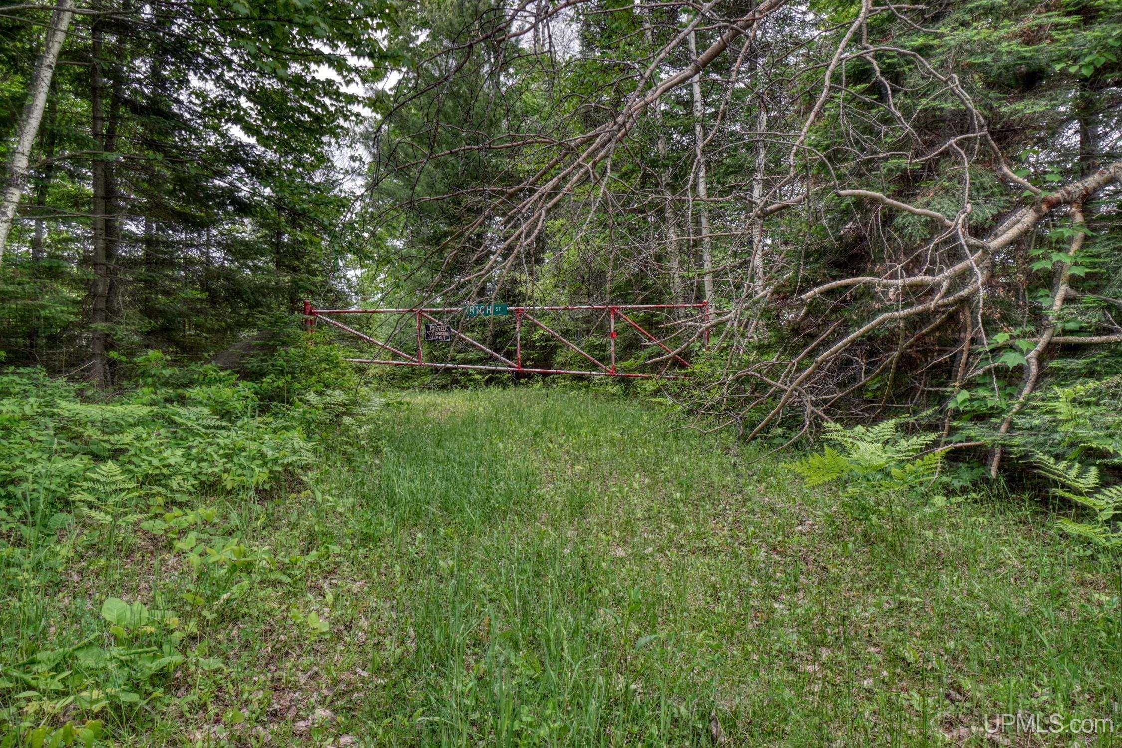 3688 Scoter Road Republic, MI 49879 - Photo 2 of 40