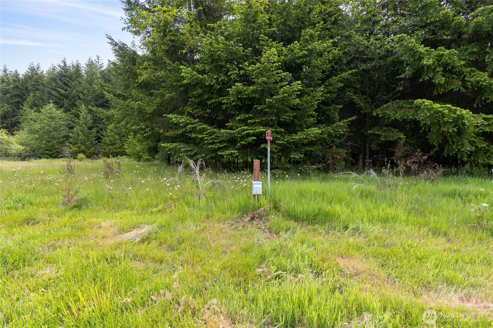 123 Dresher Road Mineral, WA 98355 - Photo 35 of 40 Gallery Image 35