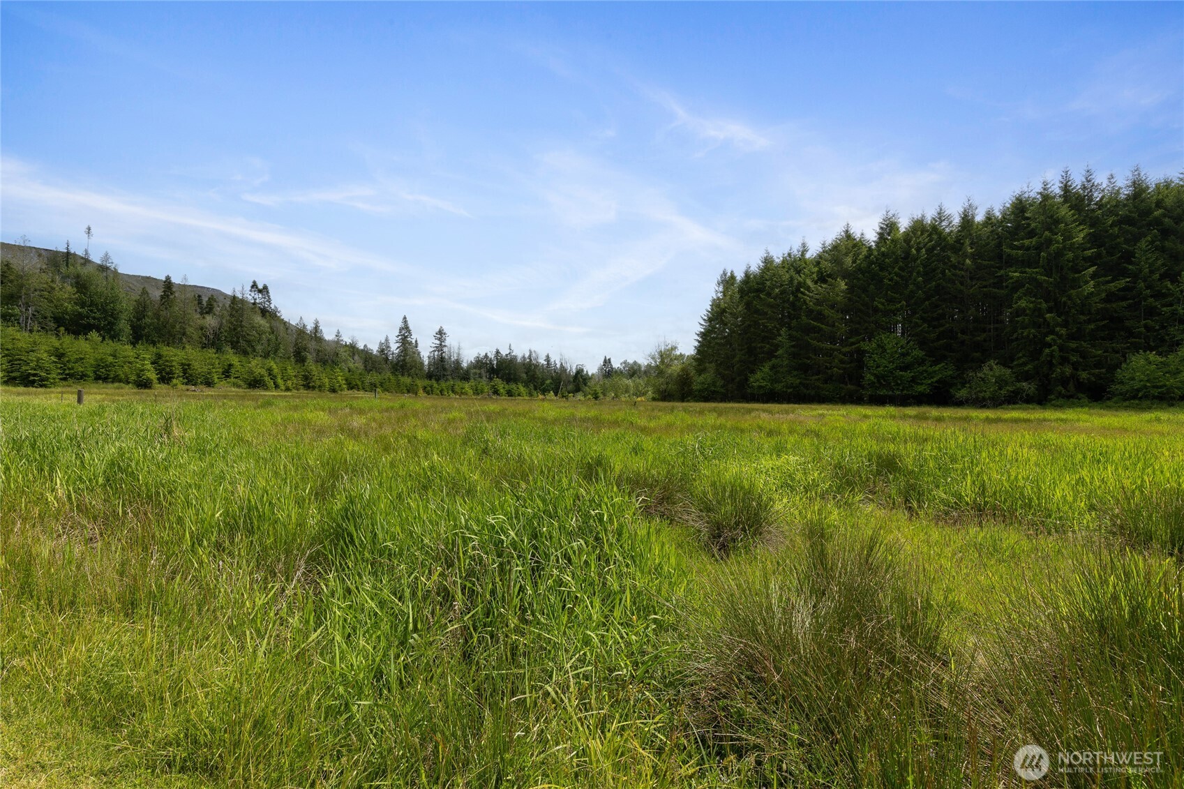 123 Dresher Road Mineral, WA 98355 - Photo 36 of 40 Gallery Image 36