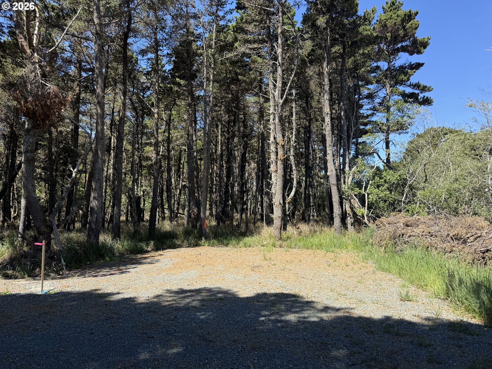 0 Allegheny Road Bandon, OR 97411 - Photo 8 of 19
