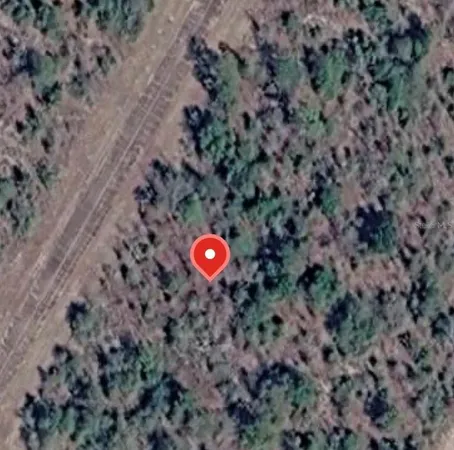 a view of a forest with a forest