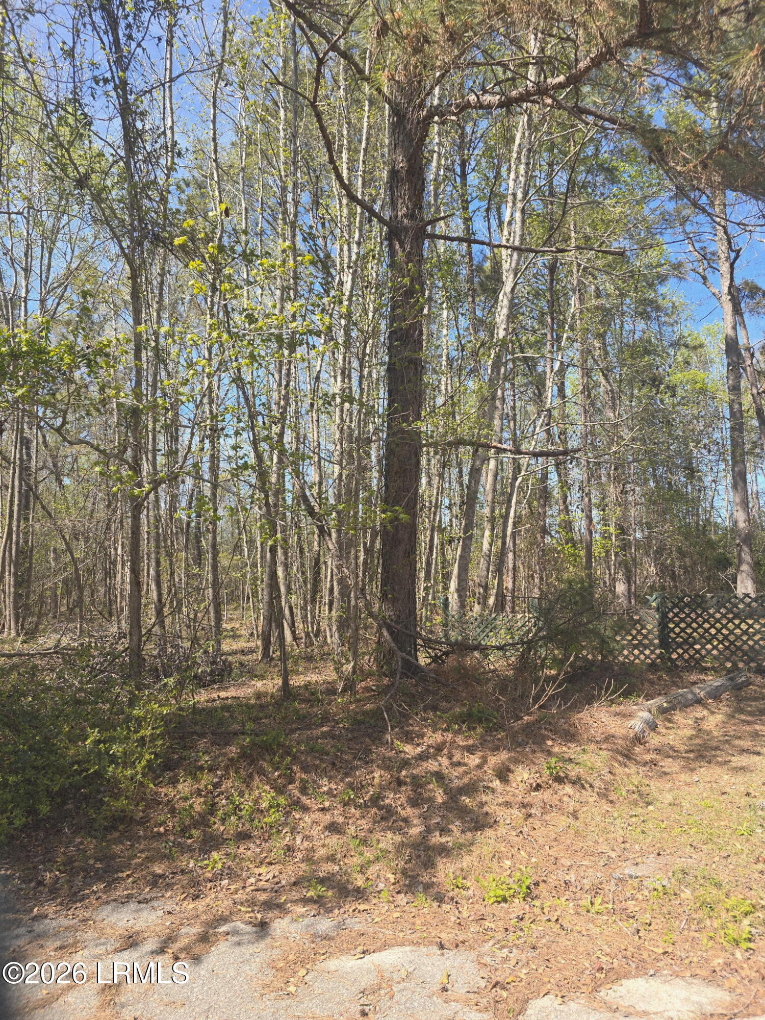 Lot 5 Freeman Street Hampton, SC 29924 - Photo 1 of 6 4200389581091924015