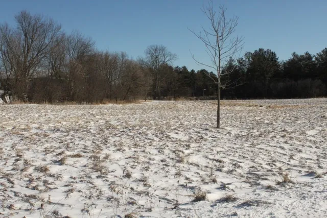 $29,000 | 1005 Mill Pond Circle, Unit 3, Weyauwega, WI 54983