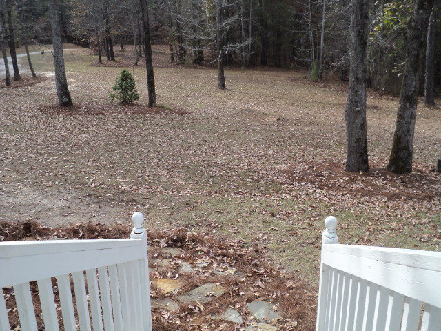 169 Pea Ridge Road Juliette, GA 31046 - Photo 9 of 12 a view of a yard with wooden fence