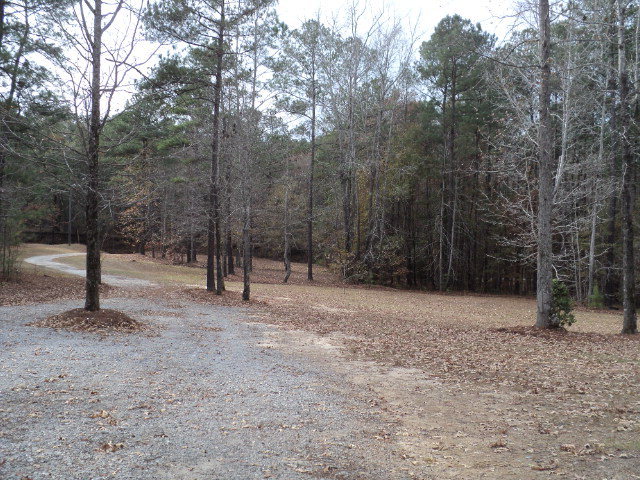 169 Pea Ridge Road Juliette, GA 31046 - Photo 10 of 12 a view of outdoor space with trees