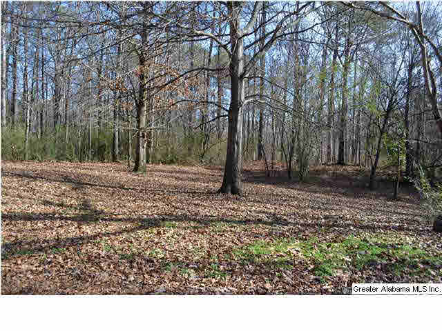1124 Hayes Road Adamsville, AL 35005 - Photo 16 of 16