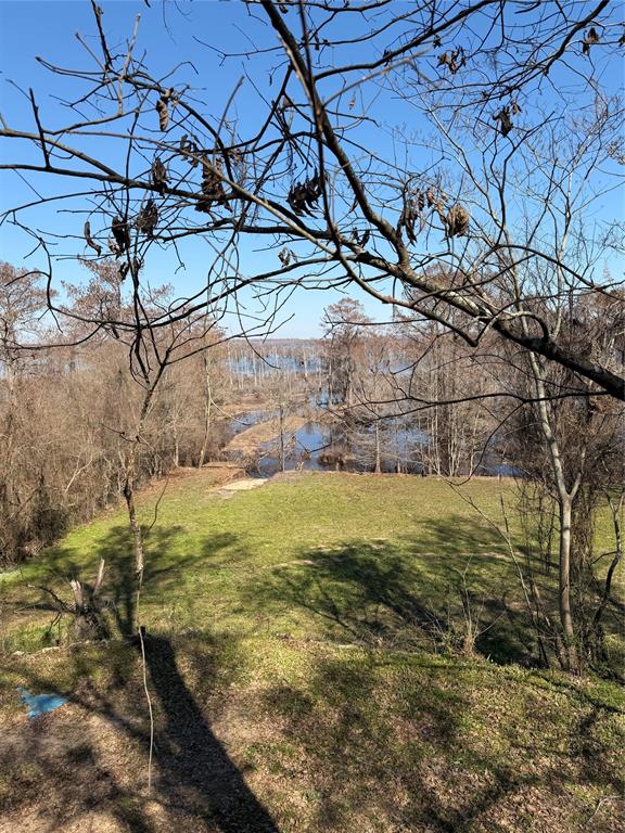 263 Highway 154 Ringgold, LA 71068 - Photo 23 of 38 View of green lawn
