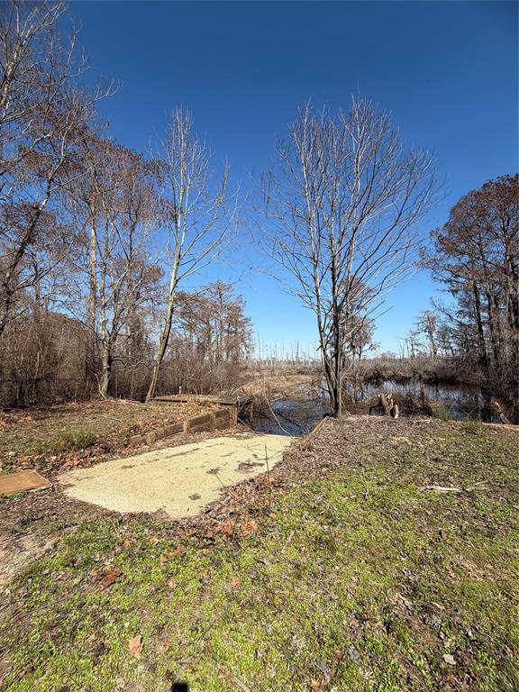 263 Highway 154 Ringgold, LA 71068 - Photo 31 of 38 View of yard