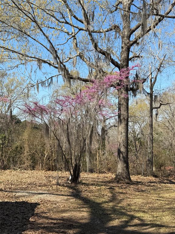 263 Highway 154 Ringgold, LA 71068 - Photo 33 of 38