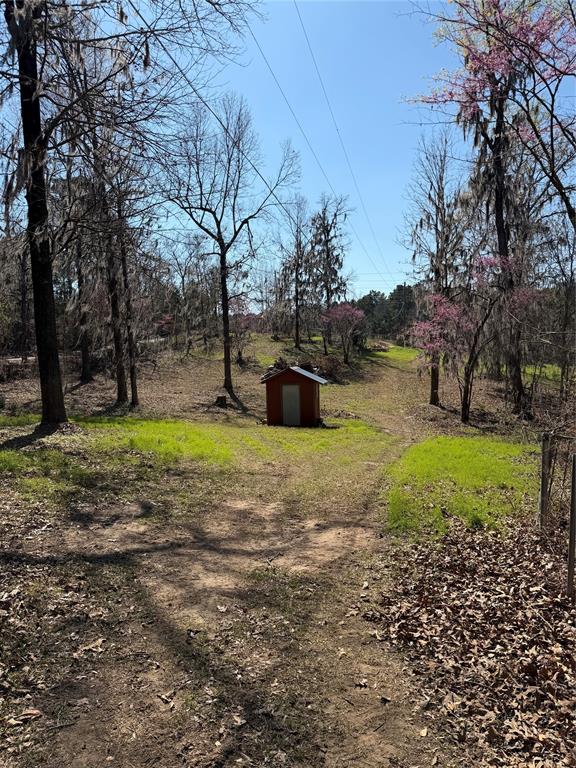 263 Highway 154 Ringgold, LA 71068 - Photo 36 of 38 View of yard featuring a storage shed