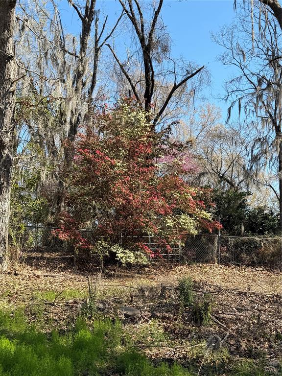 263 Highway 154 Ringgold, LA 71068 - Photo 38 of 38 View of yard