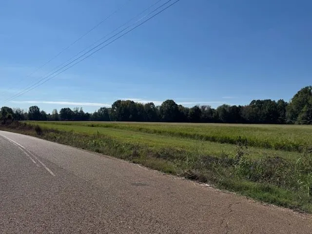 a view of a grassy field with trees