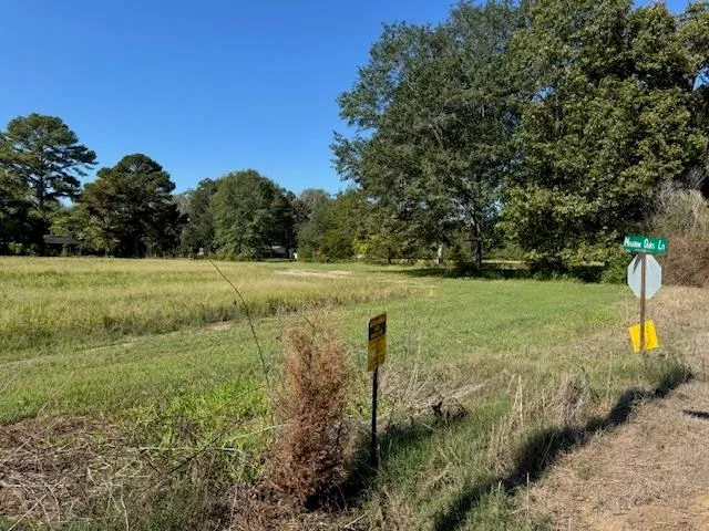 a view of outdoor space with trees