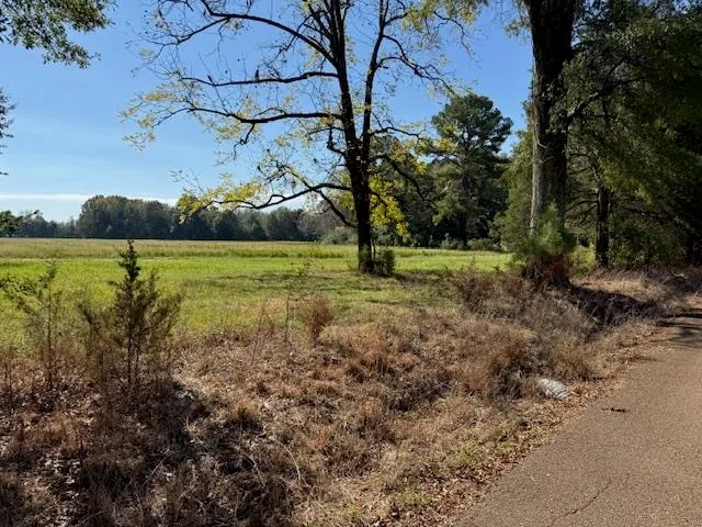 a view of a lake with green field and trees