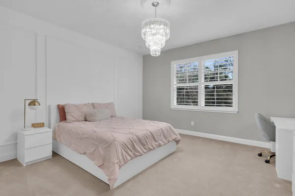 a view of a park with large trees