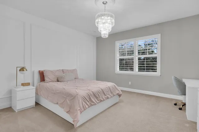 a view of a park with large trees