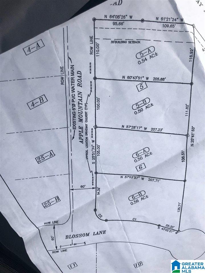351 Apple Mountain Road Arab, AL 35016 - Photo 7 of 7