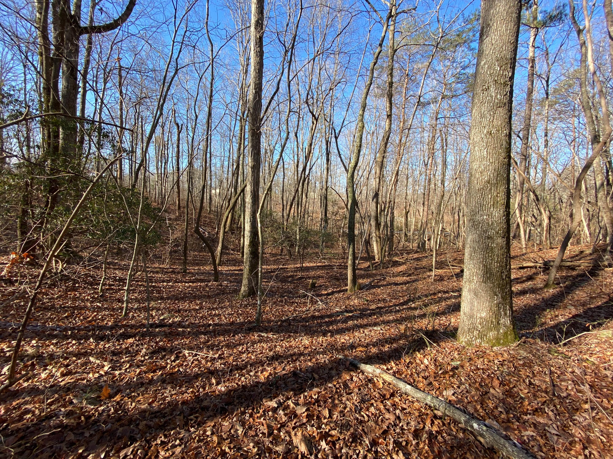 7 Lookout Drive Rising Fawn, GA 30738 - Photo 13 of 25